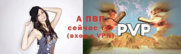 прущие грибы Лихославль