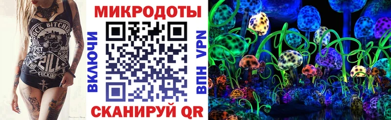 Псилоцибиновые грибы мухоморы  где купить наркоту  MEGA tor  даркнет как зайти  Славск 